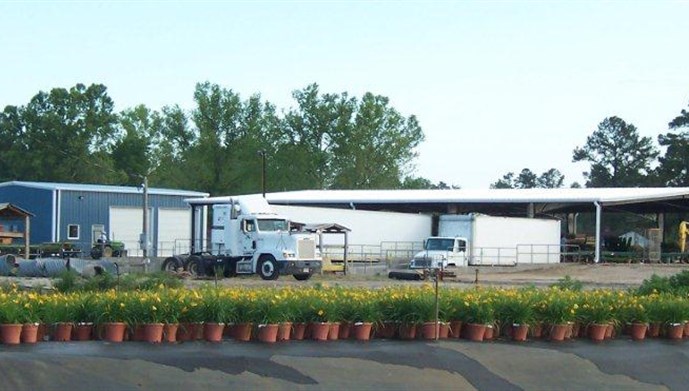 Wholesale Plant Supply